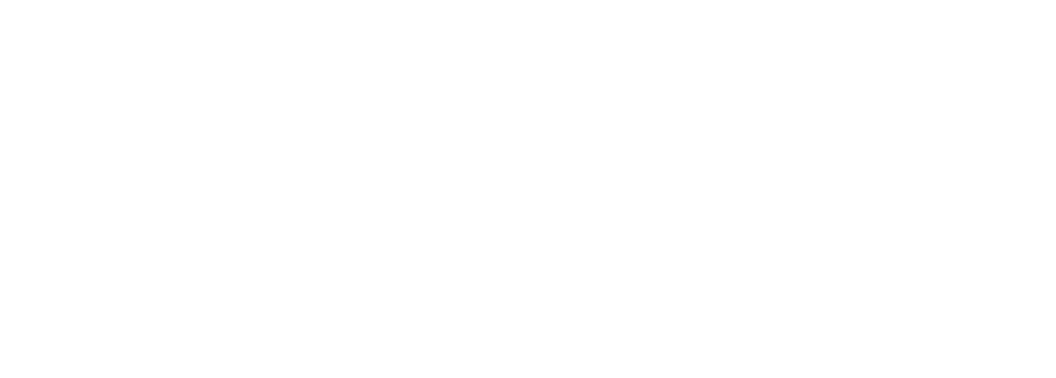Stylvion